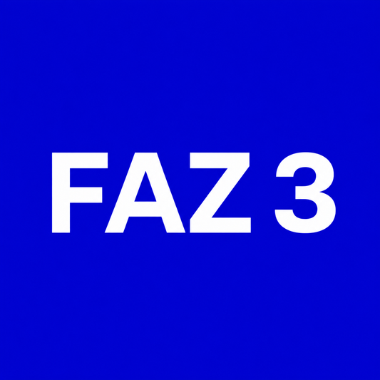 Faz 3